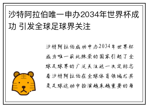 沙特阿拉伯唯一申办2034年世界杯成功 引发全球足球界关注